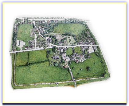 CaerwentBirdsEyeillus